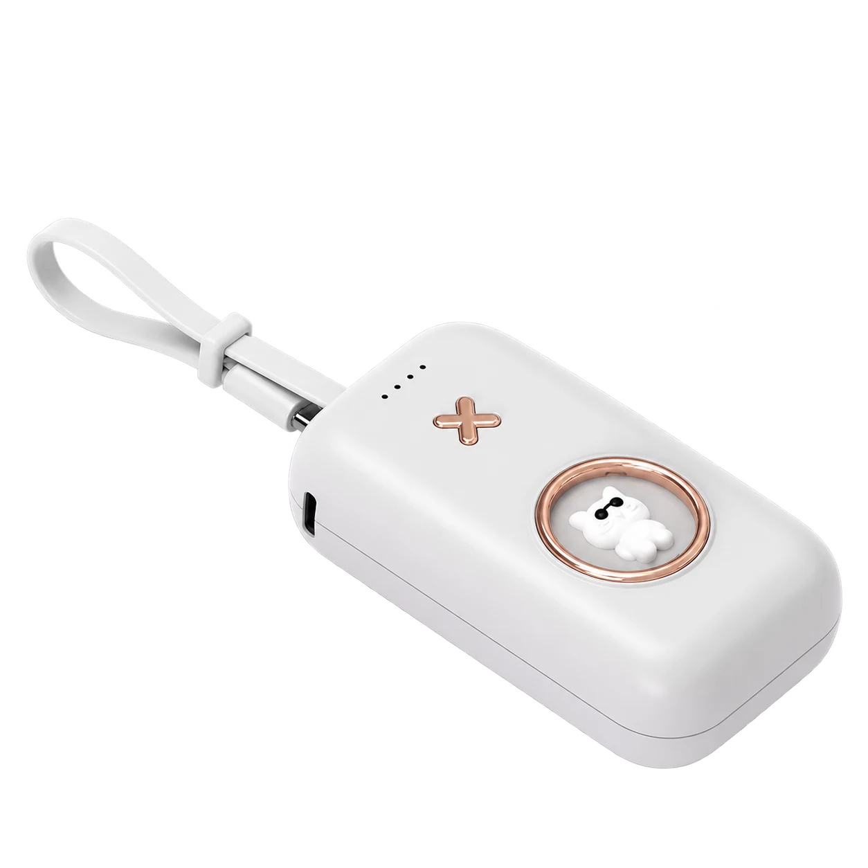 L2 Power Banks product image